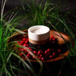 Świeca sojowa – Wetiwera i czerwona porzeczka 160 ml