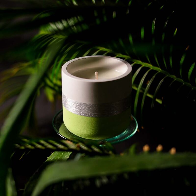 Świeca sojowa -  Liść palmy i aloes 160 ml